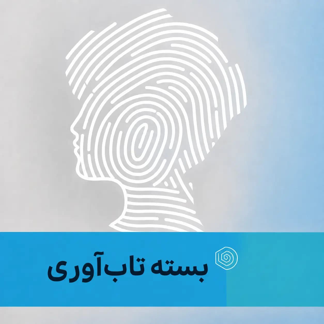بسته تاب آوری، تصویر 1