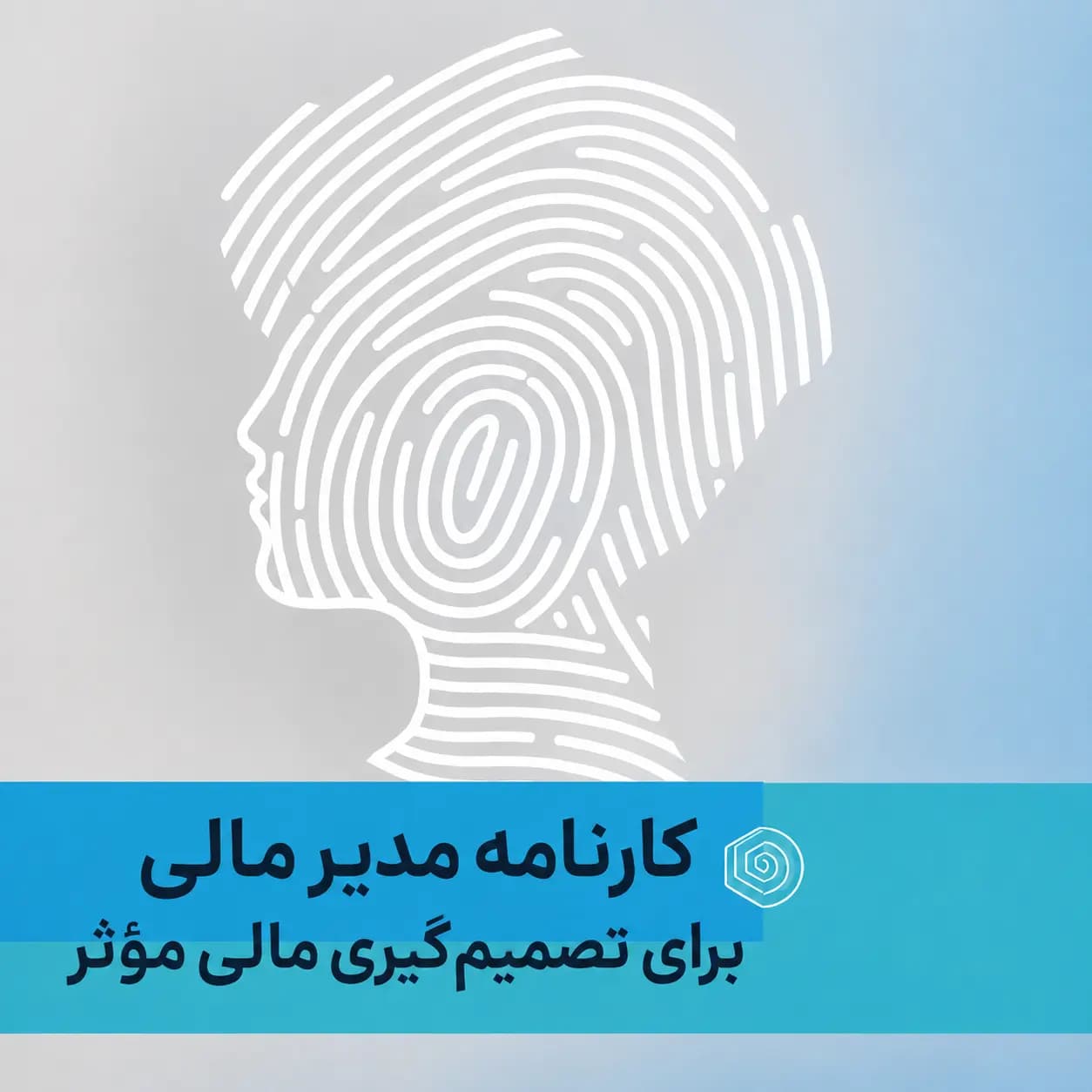  مدیر مالی، تصویر 1